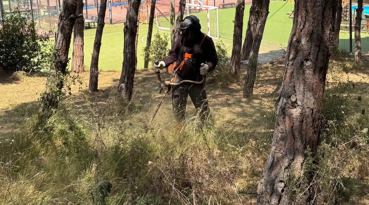 Mantenimiento de jardinería y trabajos forestales